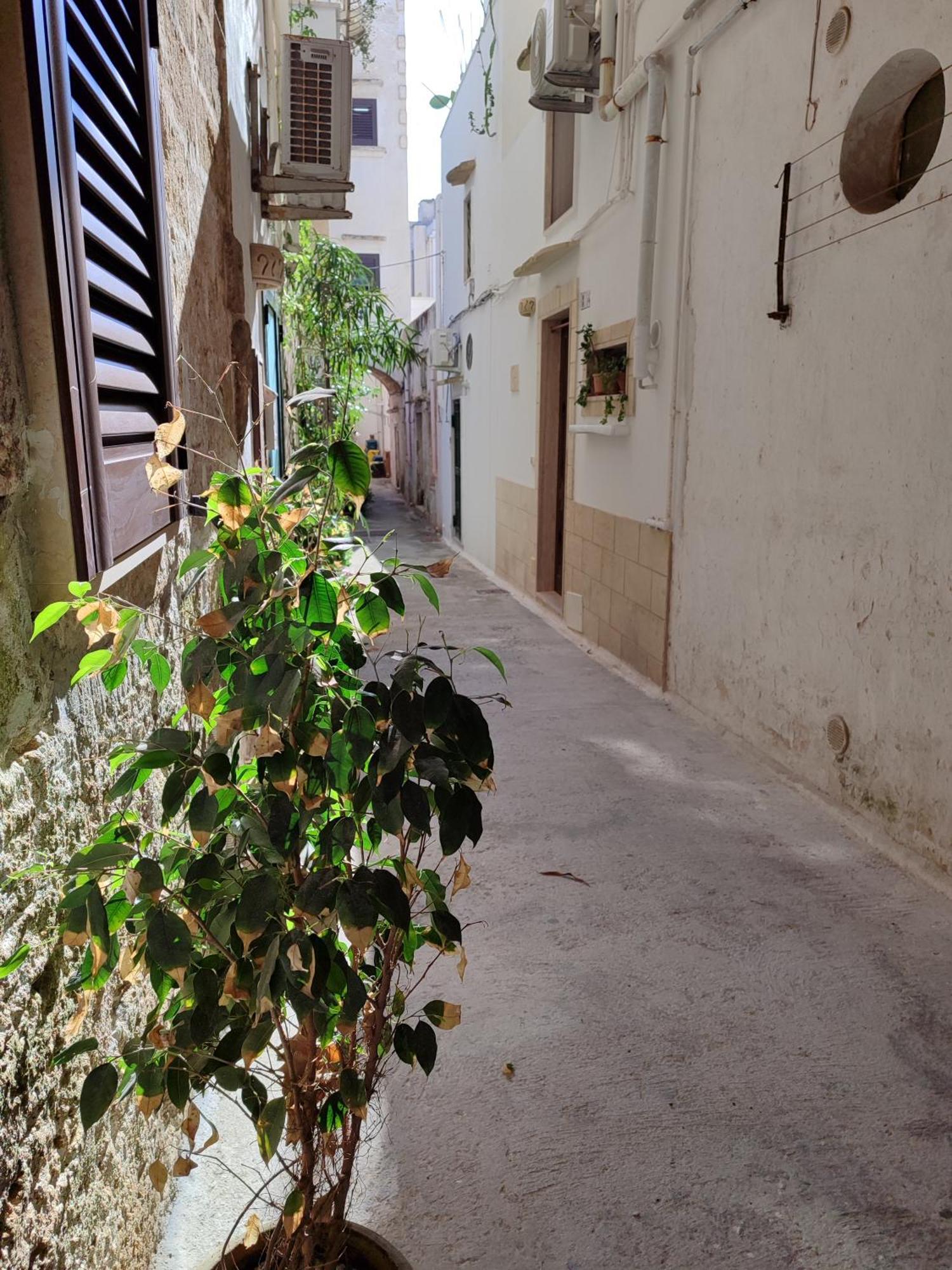Bed & Breakfast Punta Cutieri